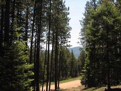 Hidden Lake Lot 24 A & B Taos Pines Ranch